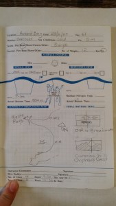 Dives on the Wreck we were surveying on course