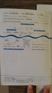 Tank Dive at Crocosaurus Cove