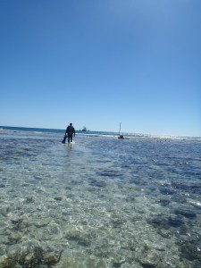 Always a big and long walk out and back across the reef flat to get to the reef rim on the low tide (especially lugging dive gear)