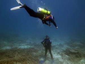 Brian and Learner descending on our first dive
