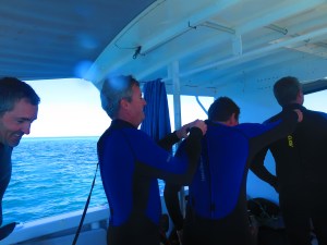 Gearing Up for our second dive for the day