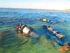 Students doing Intro dives in Rock Pool on reef rim at North West Island