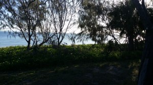 Bedrooms with Views!