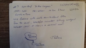 Dive 7 Dive at Viper Reef