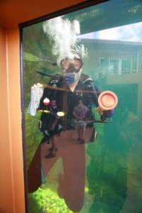 Scrubbing Aquarium Glass (Daily Chore)