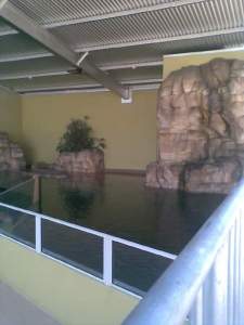 Top view of the Aquarium at Crocosaurus Cove