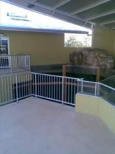 Top view of the Aquarium at Crocosaurus Cove