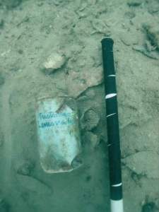 Can of old school ring pull Lemonade we uncovered