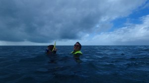 High Vis Safety Snorkelling Lookout
